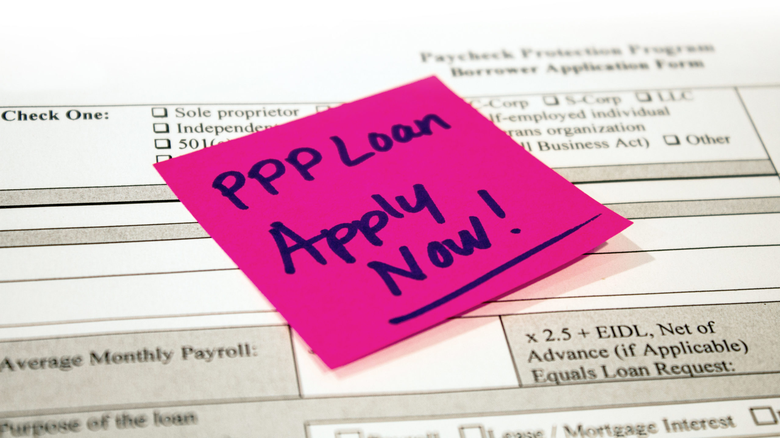 cash in minutes payday loans